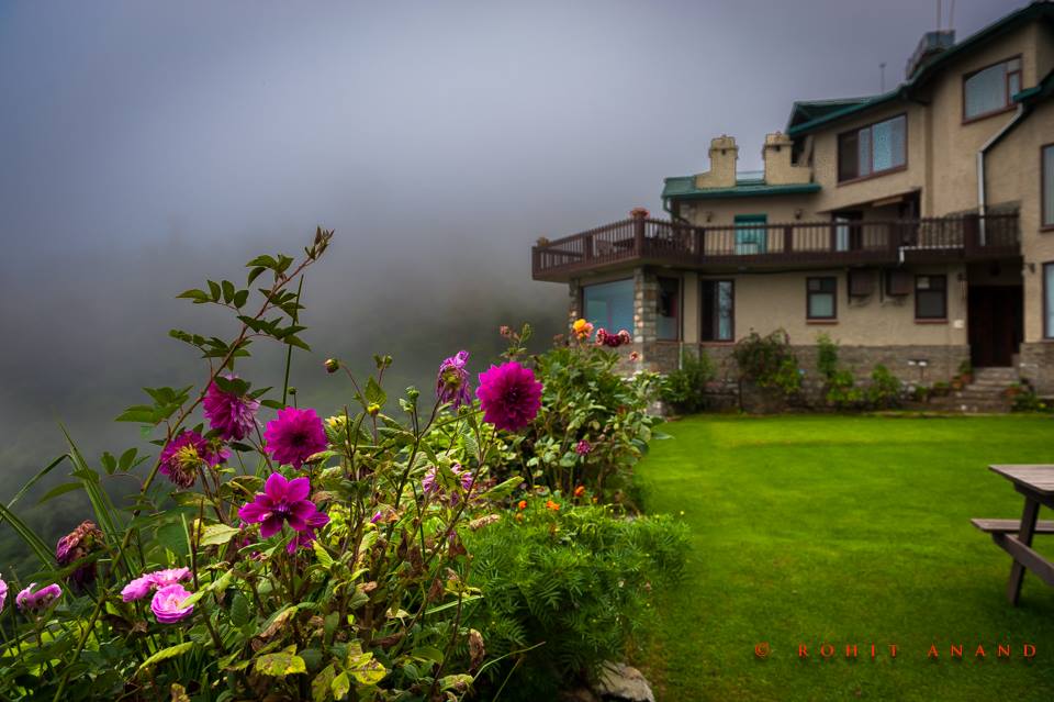 Flowers blooming in Soulitude garden