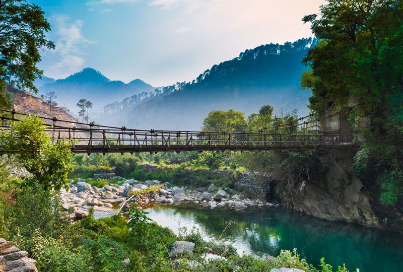 chanfi-post-featured