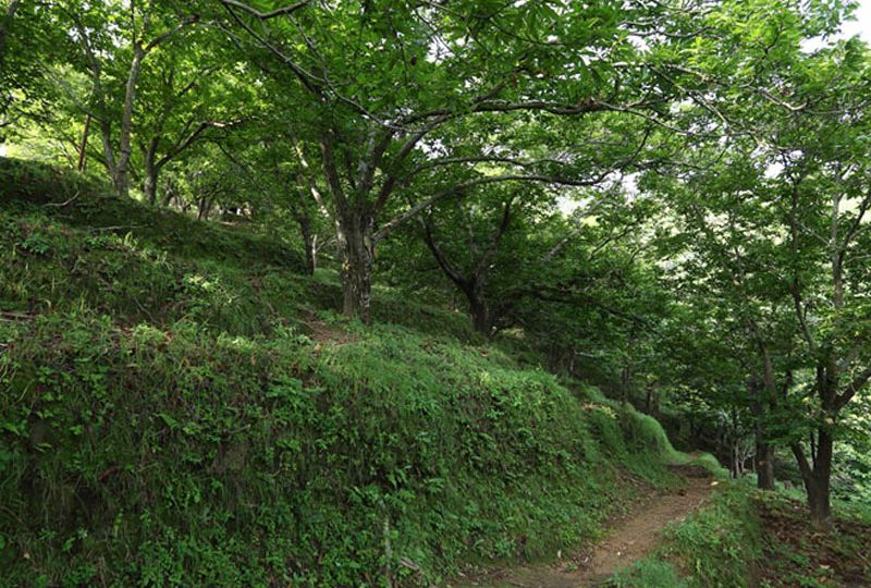 kuleti-trek-featured