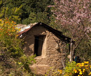 kumaoni-experience