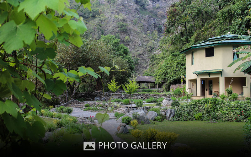 Photo Gallery - Soulitude