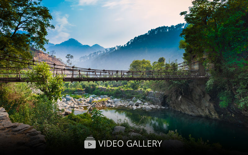 Soulitude Video Gallery