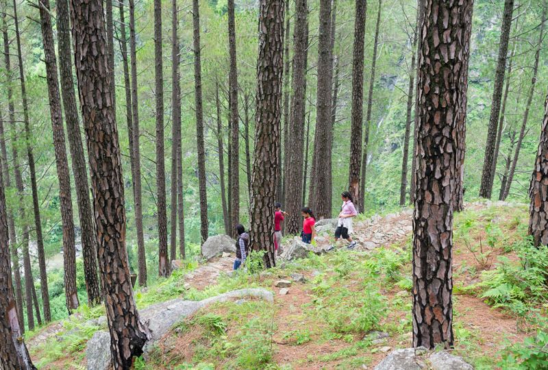 riverside-trek-featured