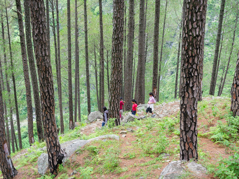 Soulitude by the Riverside Trek