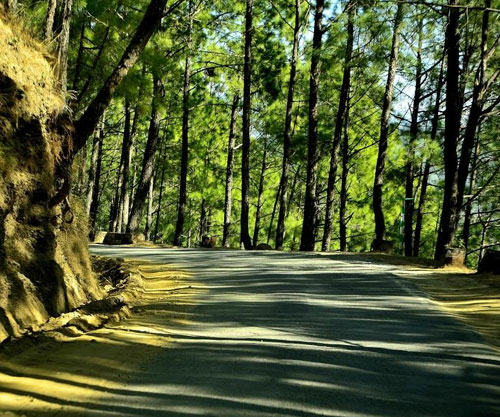 scenic-drives-things-to-do