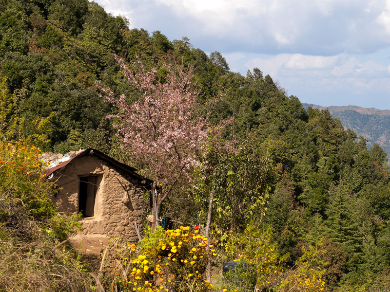 Umagarh Village Walk